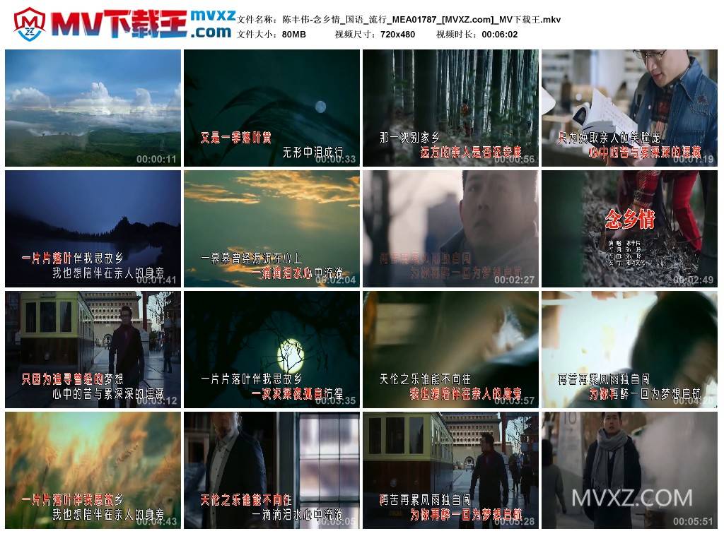陈丰伟-念乡情_国语_流行_MEA01787